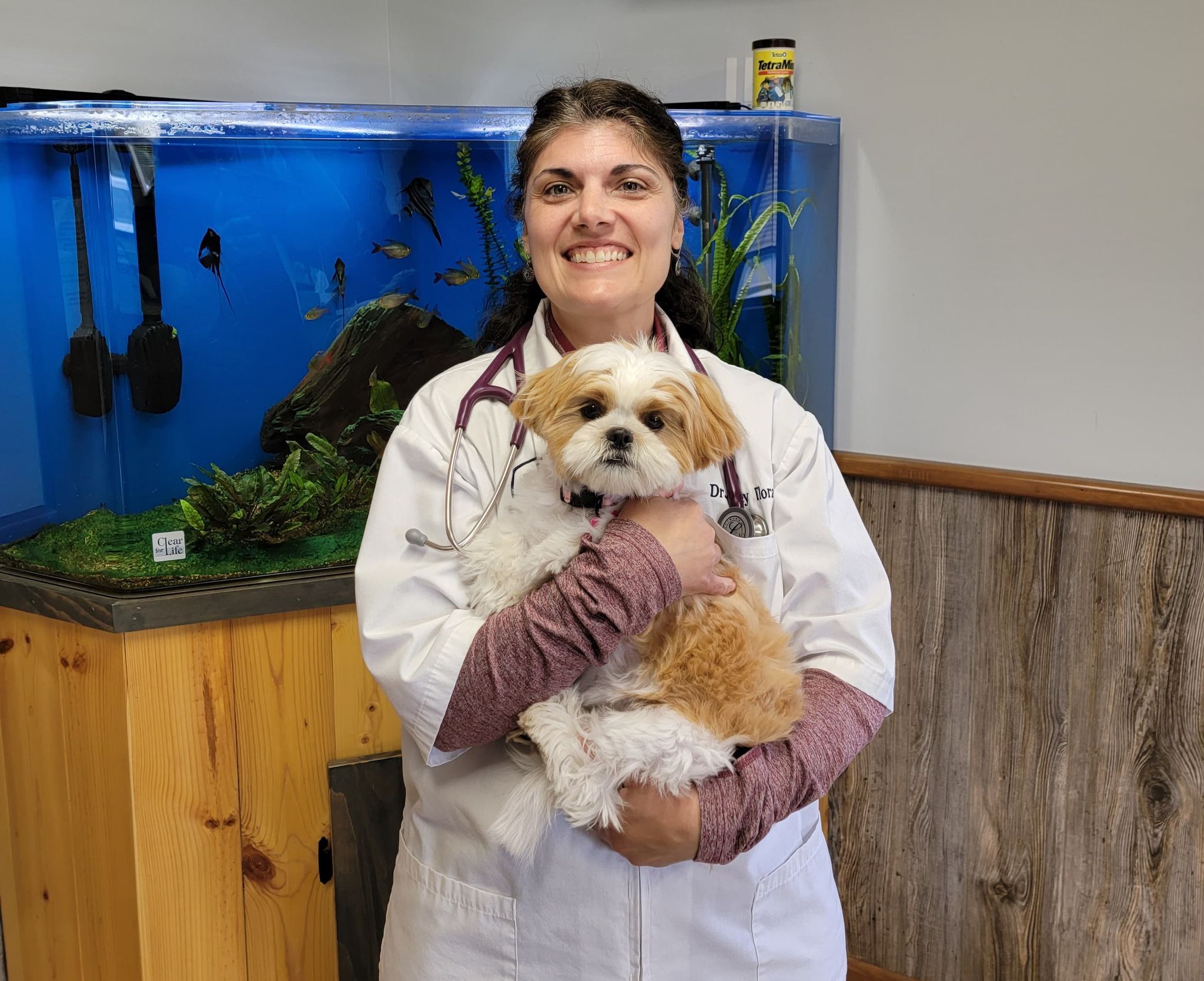 Laurel Hill Veterinary Services Veterinarian